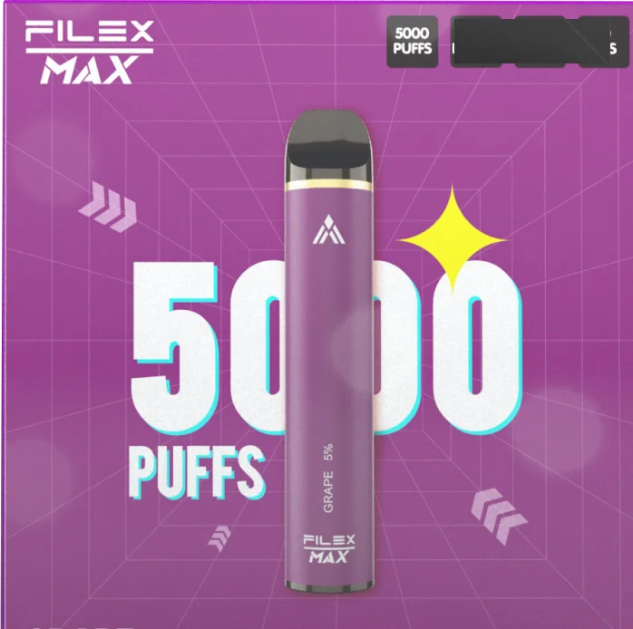 Vapes авторучки оптовая продажа Bang Filex XXL Pro Max 5000 перезаряжаемые электронные сигареты