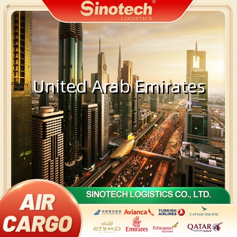 Best Sea Ship Freight Forwarder Door to Door Delivery DDP Dubai United Arab Emirates From China Shipping to UAE