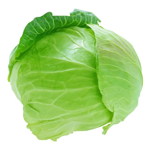 DEAL HOT Natural Green Chinese/Napa Cabbage with High Quality exporting in 2023