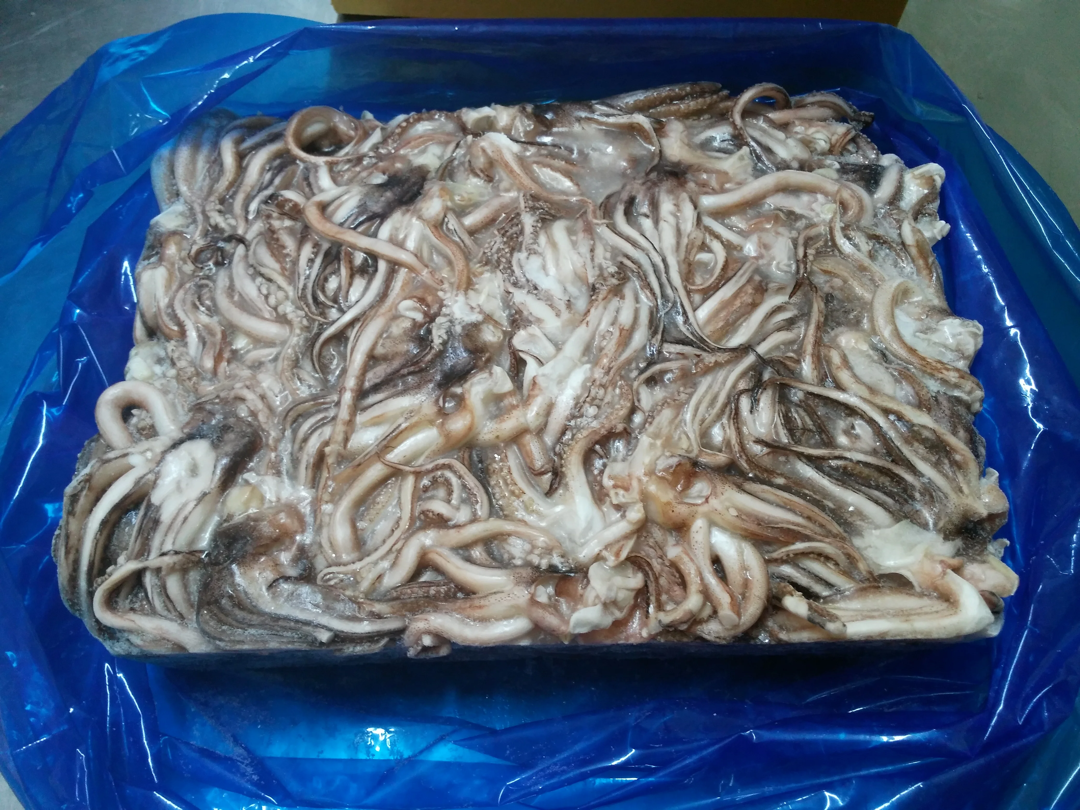 frozen and iqf fresh dried squid(tentacle)