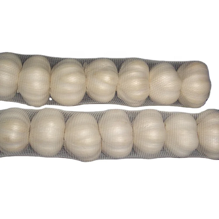 Garlic fresh pure white red garlic