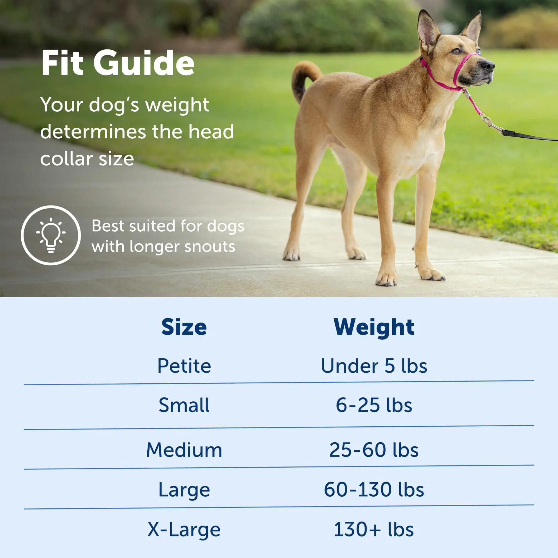 Wholesale Dog Muzzle Gentle Leader No-Pull Dog Headcollar Adjustable Anti-Barking Biting Dog Leash and Muzzle