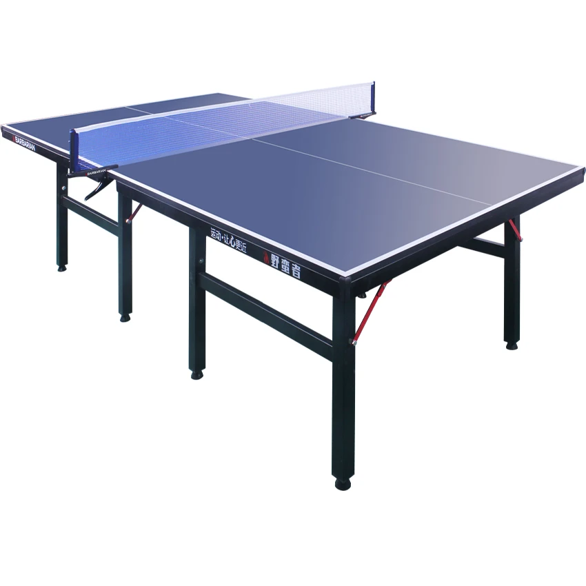 pingpong table