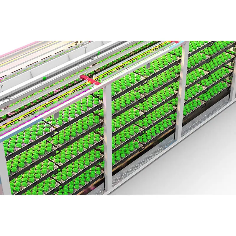 best choice hydroponic shipping container farm for lettuce, leafy greens, microgreen and herbs