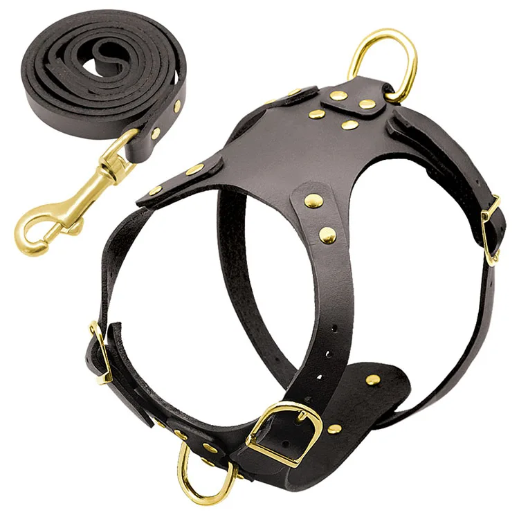 Custom Personalized PU Leather retractable Pet dog harness and leash  for small medium dogs pug beagle brown
