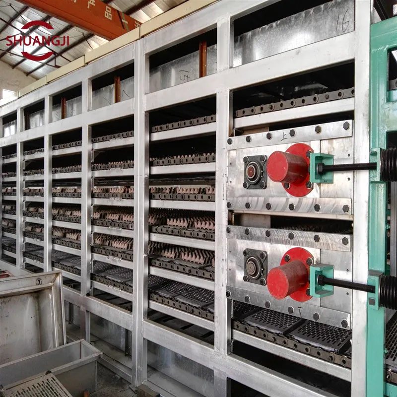 Automatic Paper Pulp Egg Tray Production Line/Small Machine Making Egg Tray