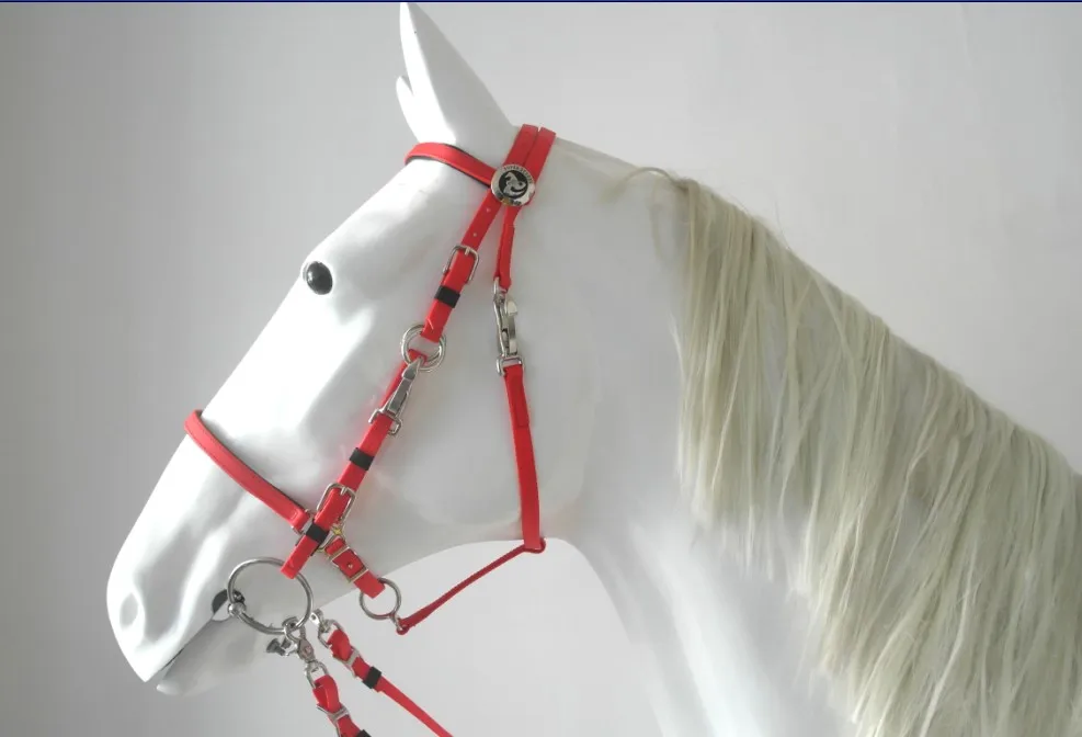 Horse Equipment Equestrians Horse Endurance Full Set with halter rein breastplate