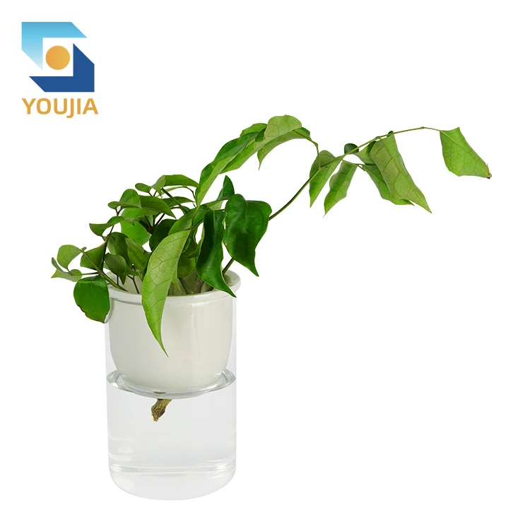 Youjia Manufacturers Price Home Office Desk Flowers Decoration Clear Crystal Vase Glass Vase Tabletop Vase