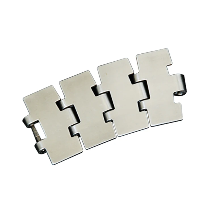 Heavy Duty SS881M Side Flexing Chains Factory Direct Wholesale Excellent Quality At Competitive Price With Customized Design