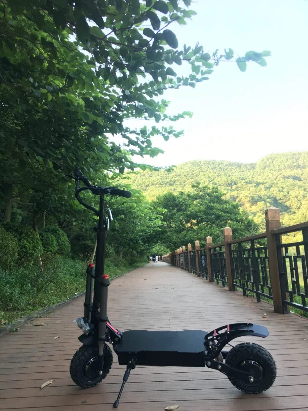 
fast speed electric scooter with dual motors 