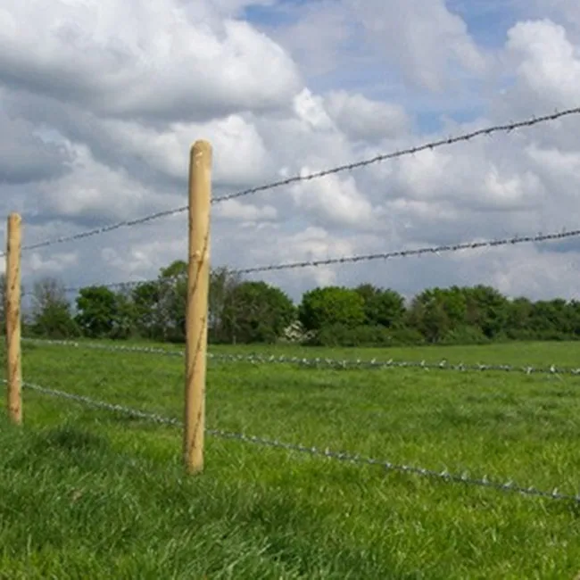 Высокопрочный рулон колючей проволоки для