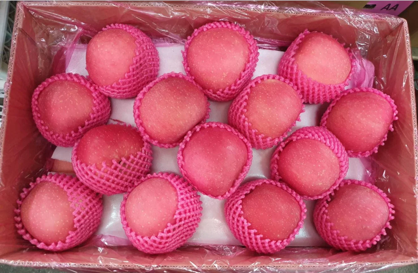 Wholesale  fresh fruits Yellow Golden red Fuji apples Pink lady apple