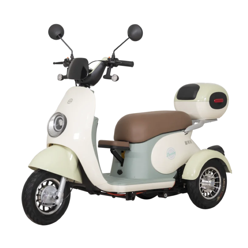 Small City Passenger E-scooter New Style Leisure Tricycle Family with Baby Seat Tricycle Good Quality Electric Tricycle