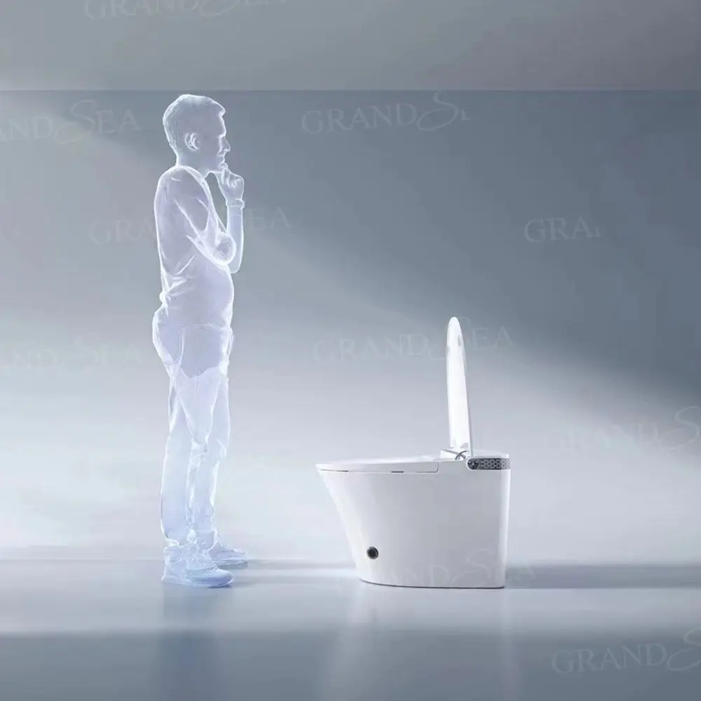 Hyundai Inodoro Oem New Product Sanitary Ware Bathroom Automatic Toilet Smart Bidet Toilet Smart Toilet
