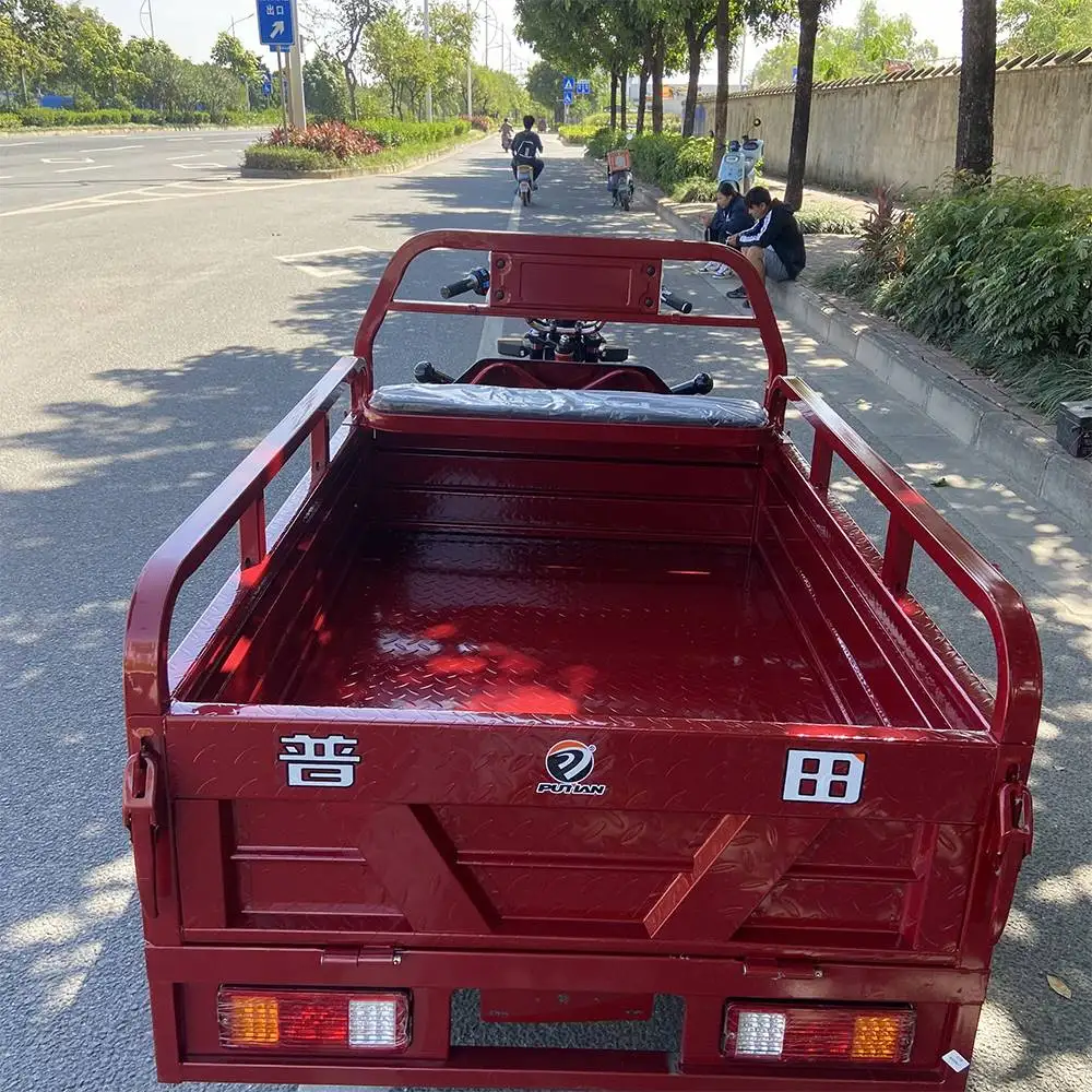 Top 24V Rickshaws Sale For Women Use