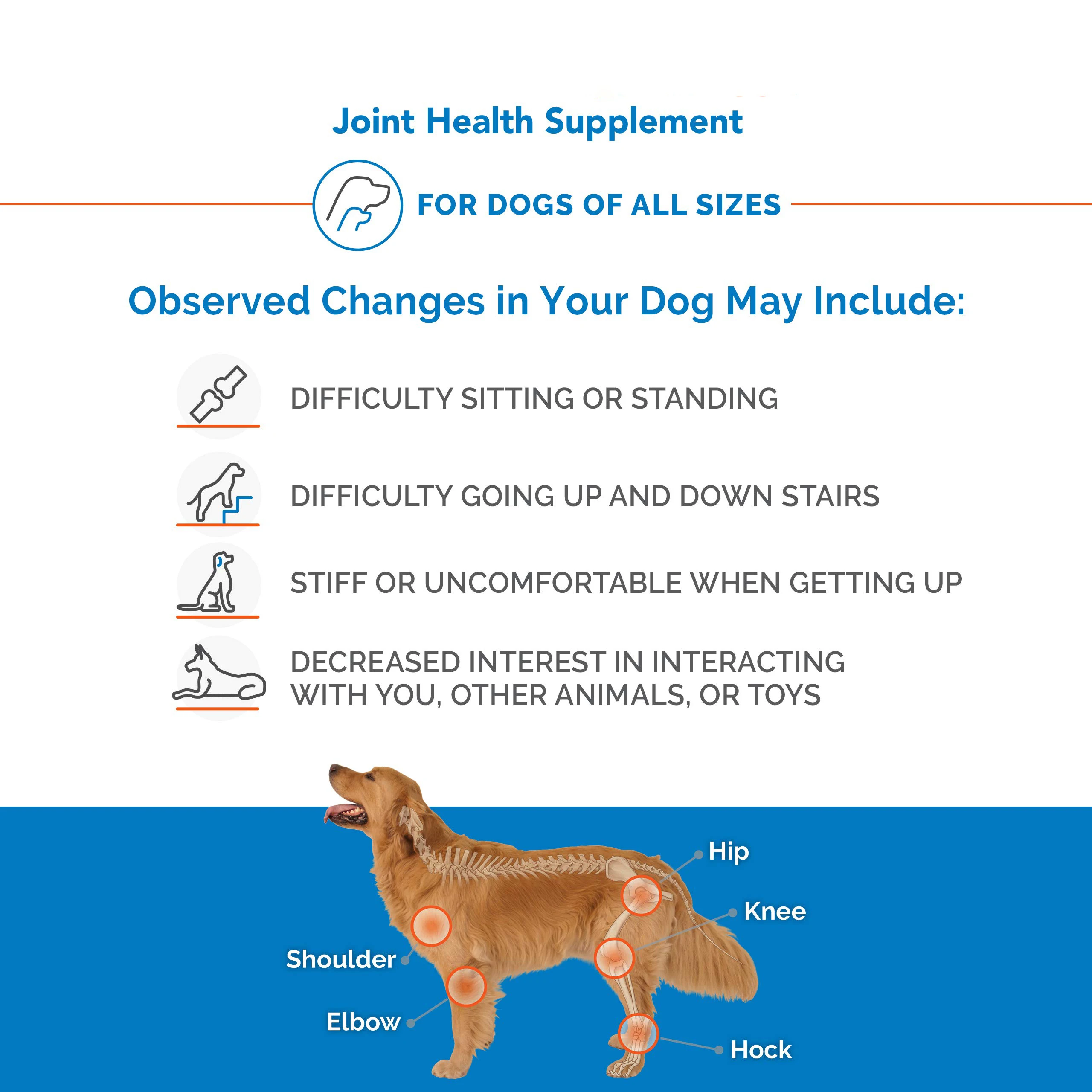 Dog Chewable Tablets Joint Health Supplement For Dogs