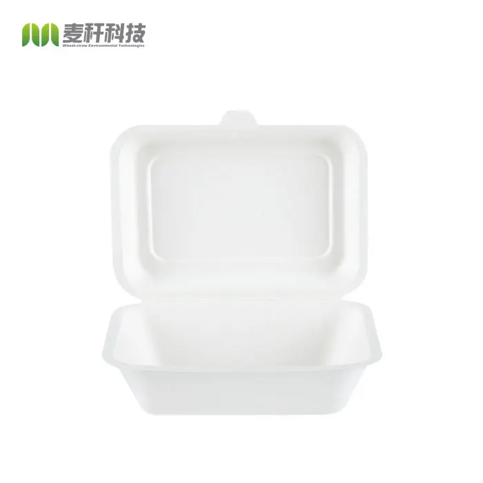 600ml sugar cane bagasse compostable takeout lunch box
