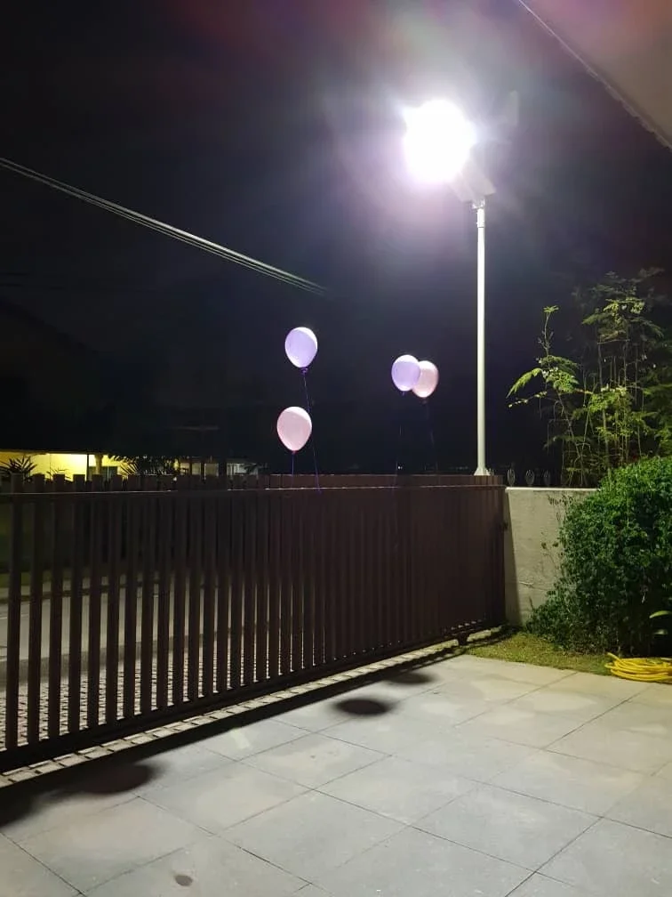 High Brightness Wind Hybrid Solar LED Street Light INTEFLY Factory Supply 12V/300W Wind Turbine Solar Hybrid LED Street light