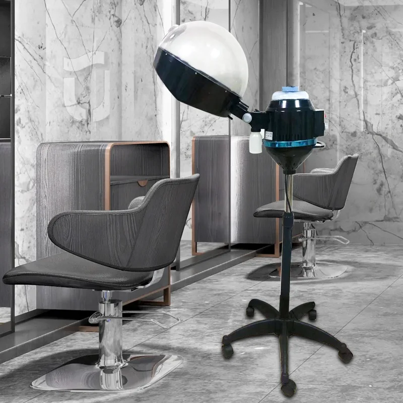 Wholesale Cheap Standing Micro Mist Hairdressing Salon Barber Professional Hair Steamer