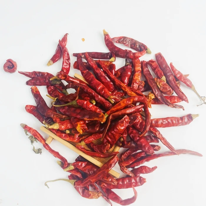 Origin Wholesale Supply Good Quality Single Spices Hot Spicy Natural Dried New Crop Red Chili Pepper