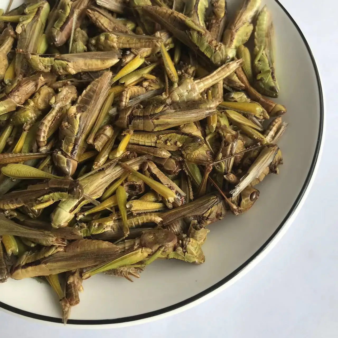 Freeze Dried Grasshopper Bird Food Edible Grasshopper for Pet