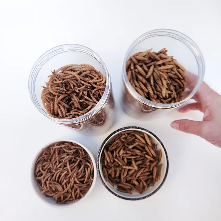 Factory Direct Price Pet Food Dried Black Soldier Fly larvae Reptile Food  For Sale mealworms dried