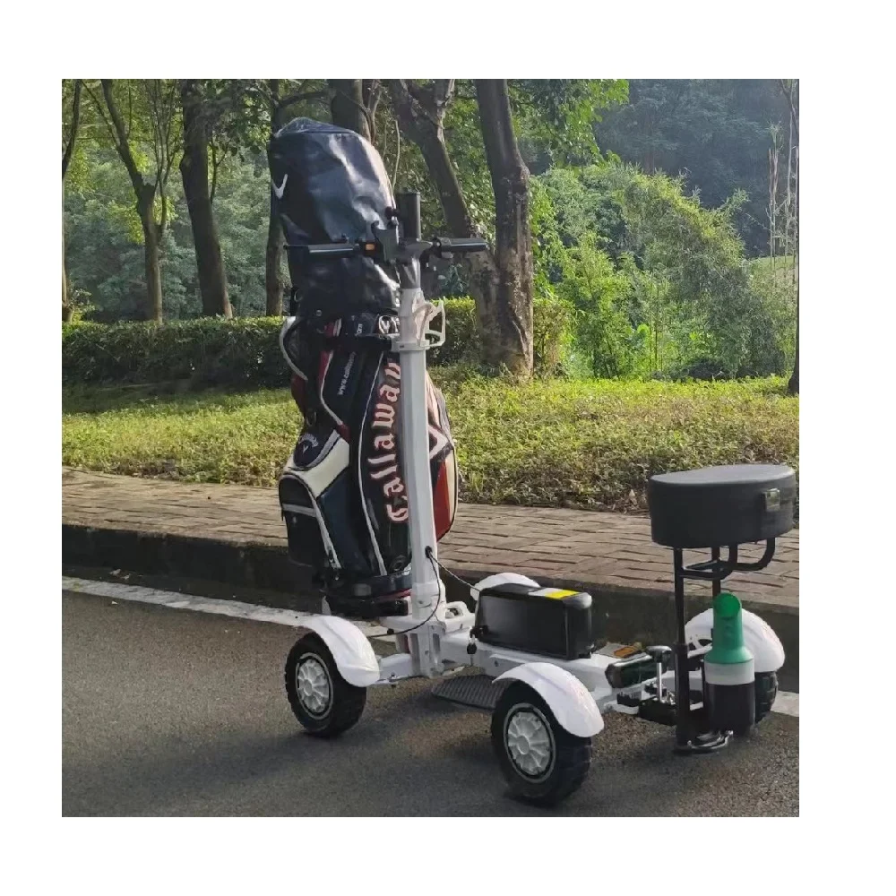 New design golf skate caddy v3 stand up electric 10 inch 48V 20AH 2000W  Aluminium foldable golf skate caddy