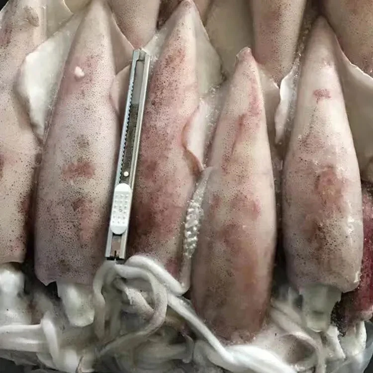 Wholesale Hot Sale High Quality Cheap Price Frozen Giant Squid For Sale