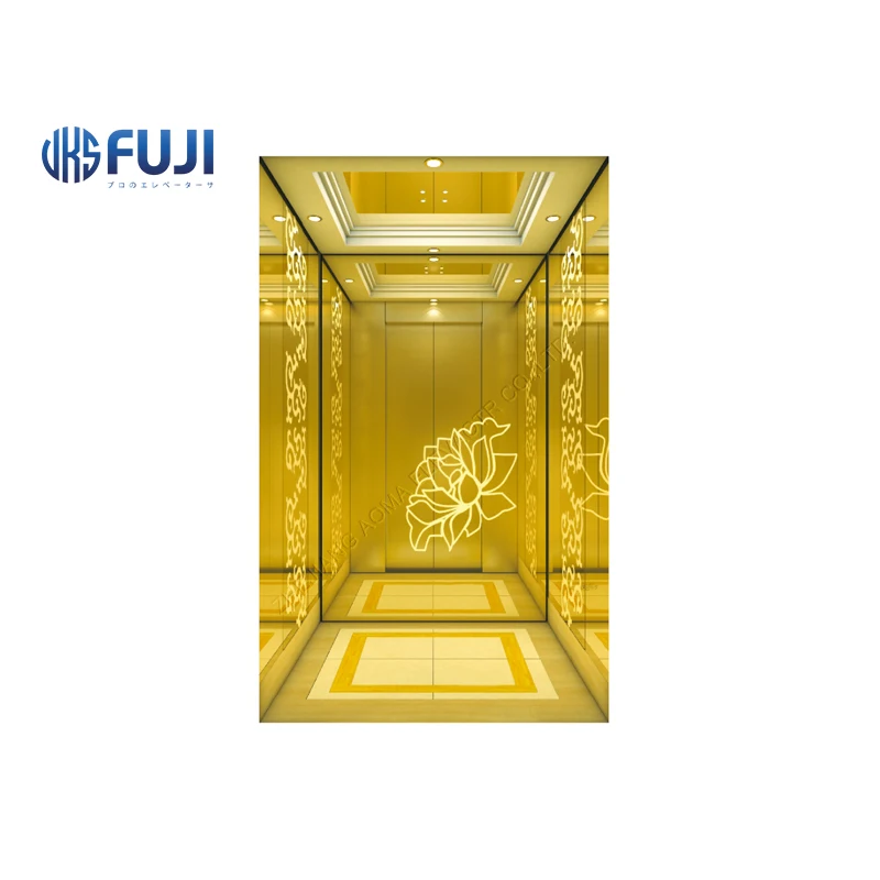 FUJI Home Lift Villa Elevator Used Home Lift Equipped with Permanent Magnet Synchronous Gearless Tractor Steel Stainless Item