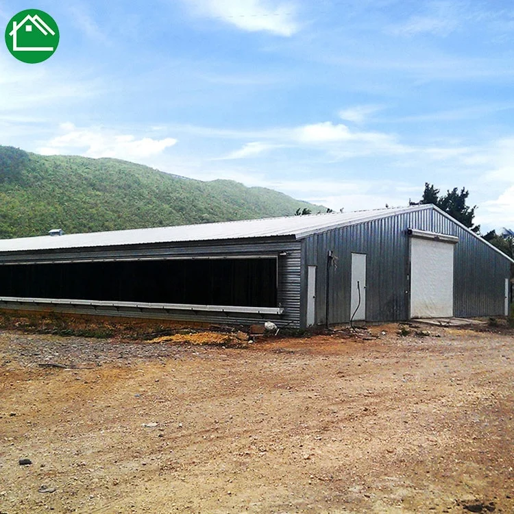 Новый дизайн легкая стальная конструкция птицеферма домик для курицы