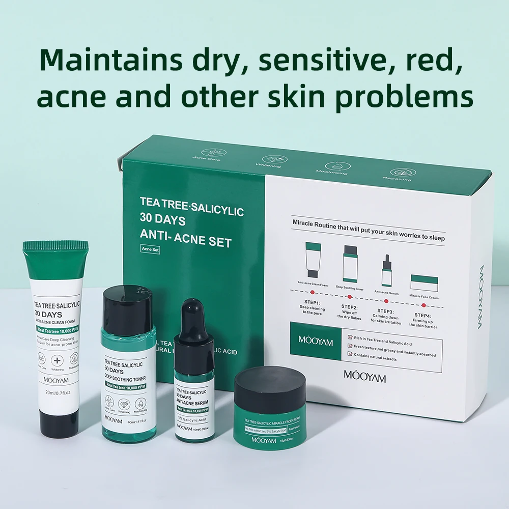 OEM Private label Wholesale Tea Tree Oil Control Skincare Set Anti Acne Cosmetics 4 Piece Facial Care Set