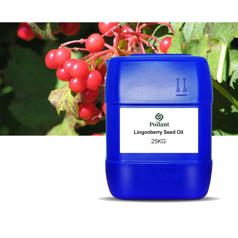 Wholesale Price Organic Lingonberry Seed Oil For Skin / Massage Carrier oil Bulk