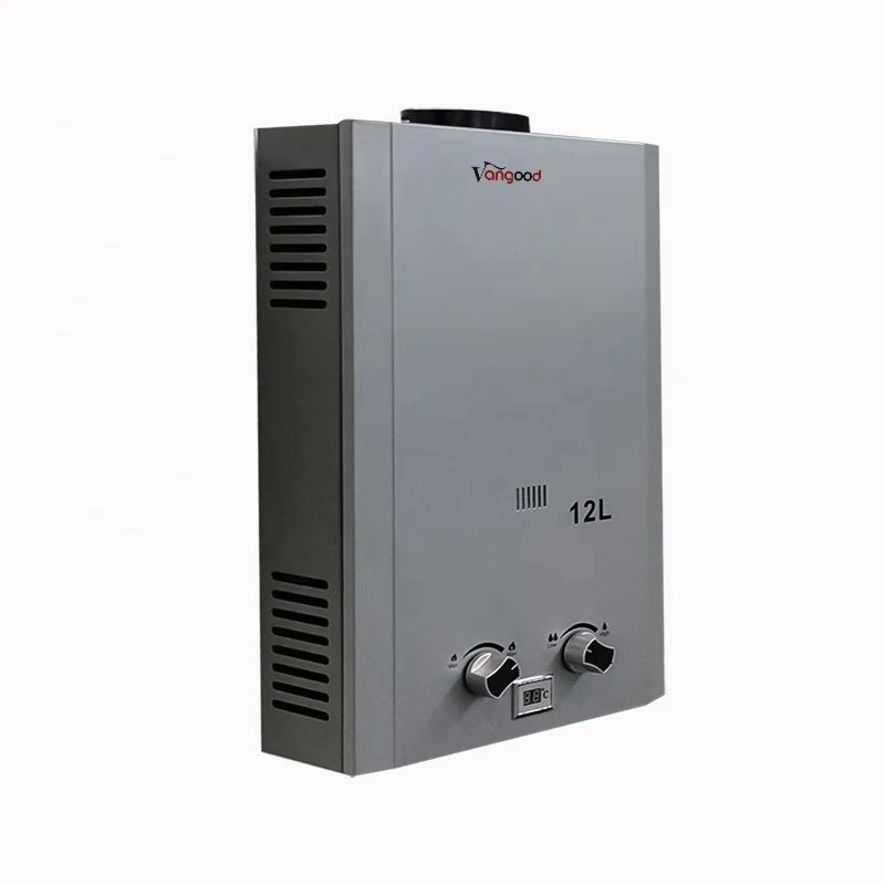 Wholesale Price Domestic Instant Propane Tankless Flue Type Gas Water Heater