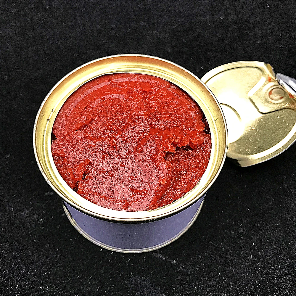 Canned Tomato Paste Red Color Good Tasting 70g 210g 400g 800g 2200g Tin Tomato Paste Sauce Ketchup For Halal African Muslim Cook