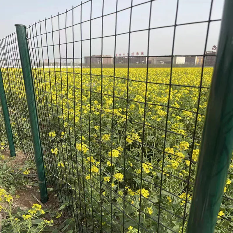 2.1 meters tall metal fence net mesh support pole for garden isolation