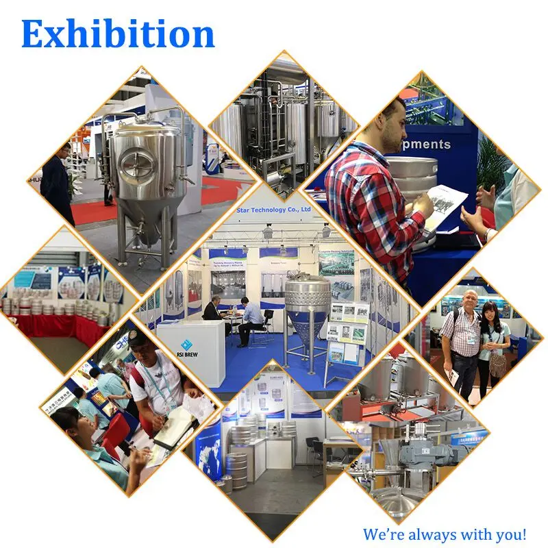 100 Lliter Hot Sale RS Factory Distillery Machine Distillation Tool Equip Price Alcohol Production Equipment