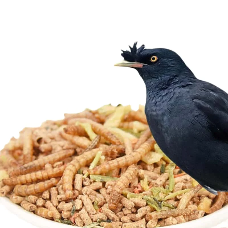 2kgs смешать корм для птиц голубей