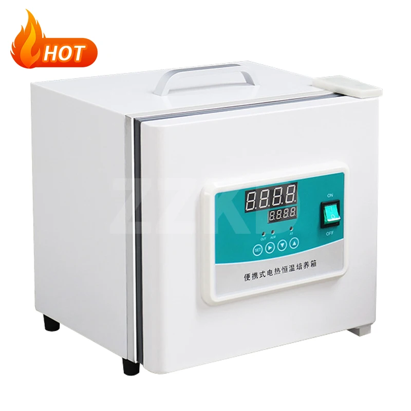 High quality small electric constant temperature incubator for lab
