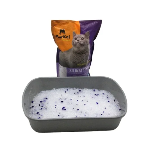 Китайский поставщик, поставщик кошачьего туалета, распродажа кошачьего туалета