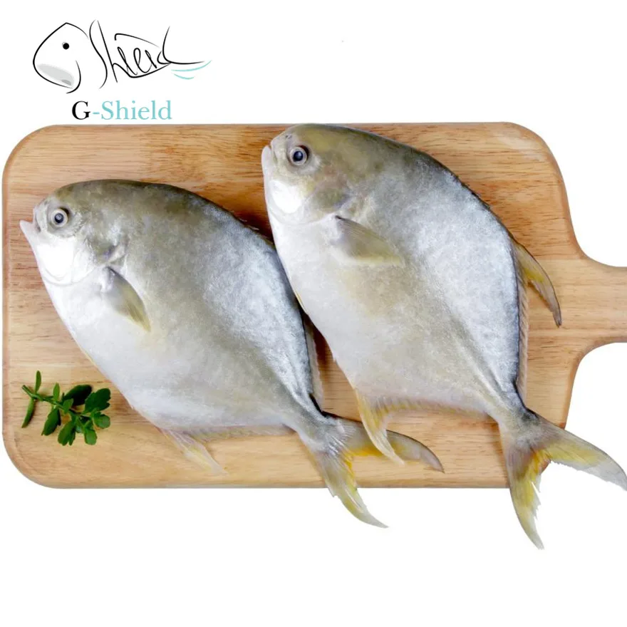 
High Quality Frozen Golden Pomfret Fish 