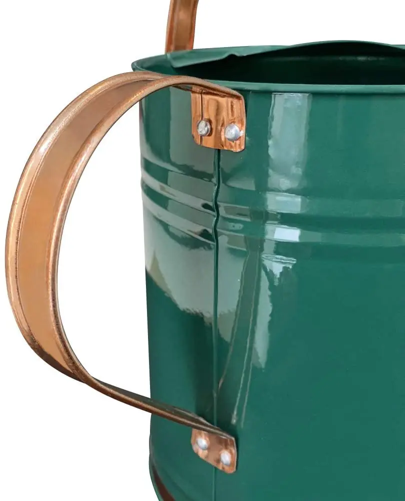 Garden supplies 3.8L water sprinkler head galvanized watering can for garden