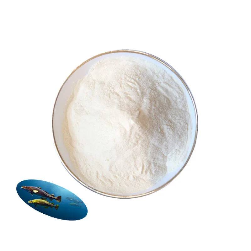 
Best Price 95% Protein Content Collagen Peptides Powder for Beauty Care 