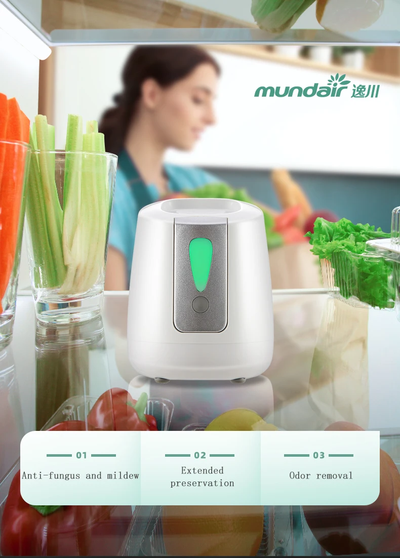 Safe Design Over Voltage Strong Purification Capacity Portable Mini Handheld Air Purifier For Car - Buy Handheld Air Purifier