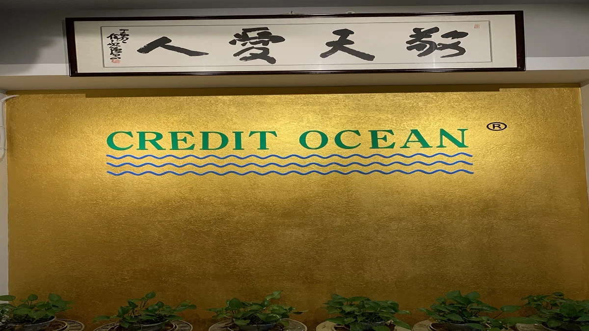 Credit Ocean Electric Jacquard Needle Loom