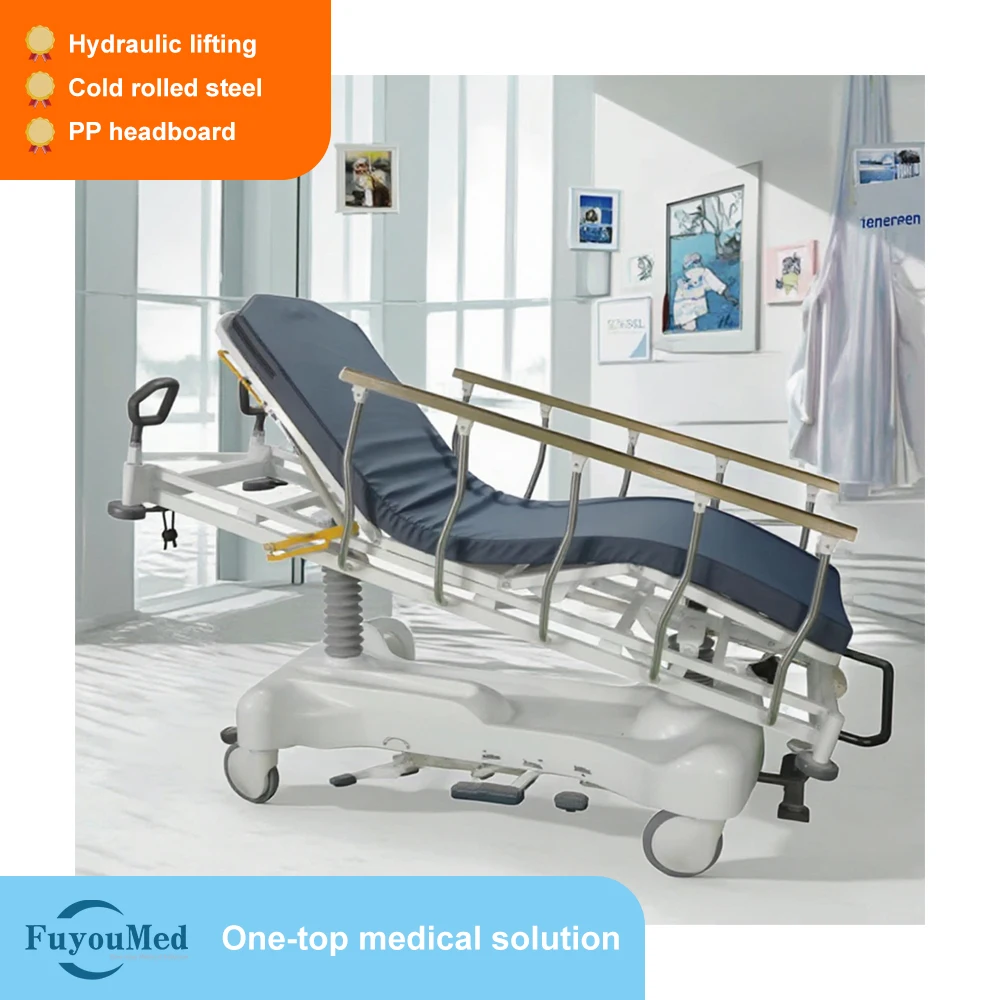 FY-101 Luxury Flat Car Lift Competitive Price ABS Homecare Furniture ICU Nursing Hospital Bed for Patients for Hospitals Clinics