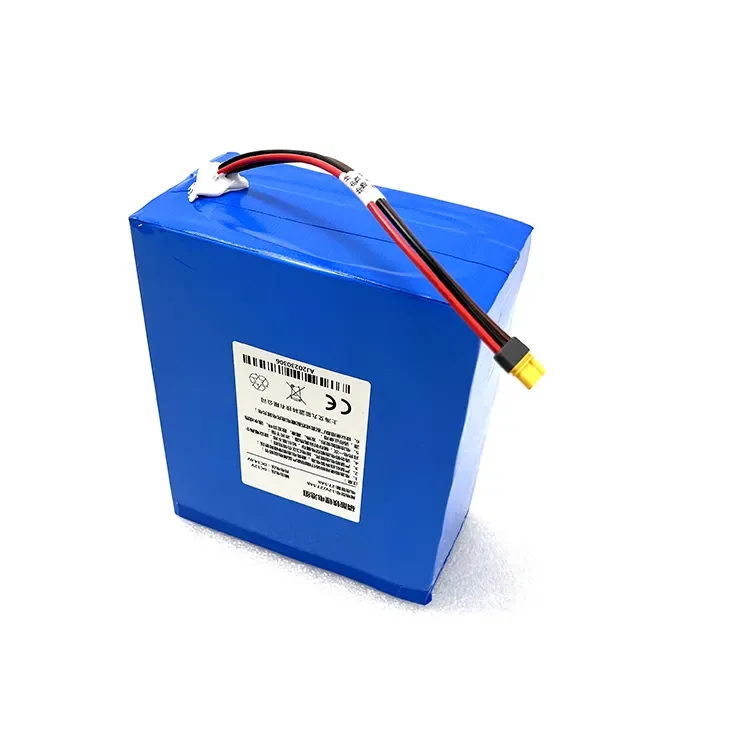 Customized PVC LifePO4 Battery Lithium Battery Pack 12V 18Ah 24Ah 30Ah 60Ah