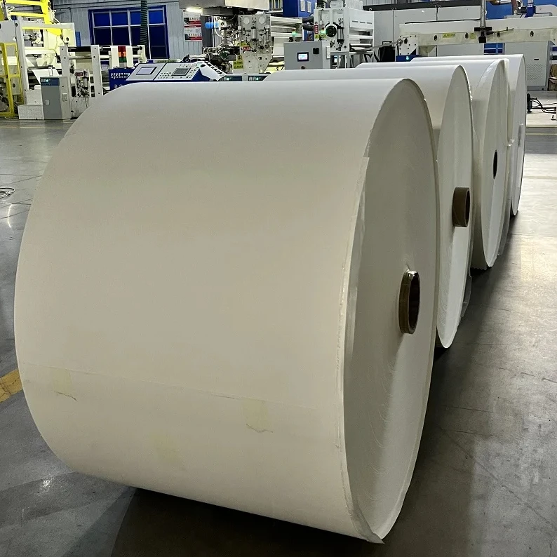 Factory DIrect Sell PLA/PE Coated Paper Rolls Raw Material for Paper Cups