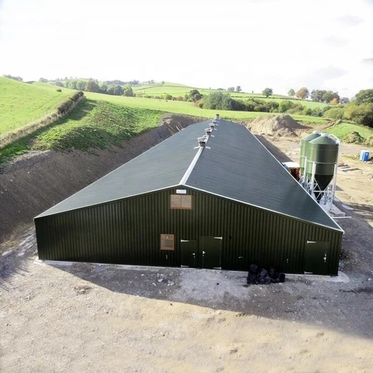 China supplier design steel structure broiler poultry farm shed building layer commercial chicken houses for sale in kenya