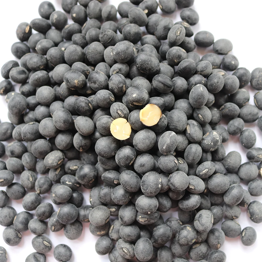 2021 buy organic black Soya Bean bean black beans price