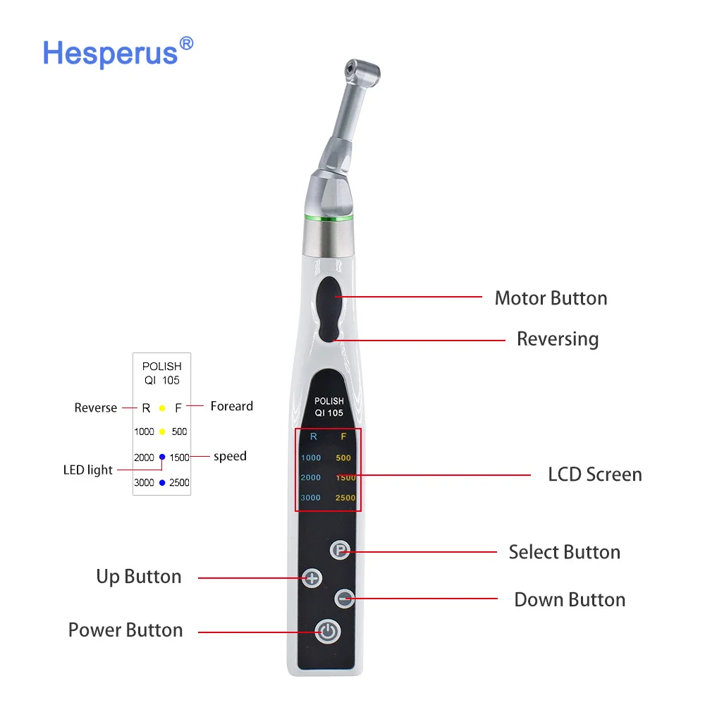 Dental Electric Polishing Motor Oral Care Prophy Handpiece Reduction Endomotor Removable for Teeth Polisher Whitening